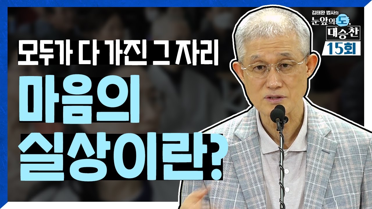 모두가 다 가진 그 자리, 마음의 실상이라는 것은 | 김태완 법사의 눈앞의 도, 대승찬 15화