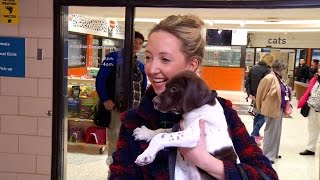 A Look Inside The Animal Humane Society