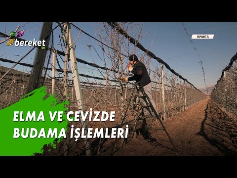 Bahçe Doktoru -
