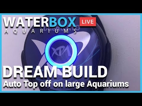 aquarium plants Dream Build Week 2: Auto Top Off Systems and Large Aquariums