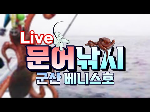 군산 문어 낚시