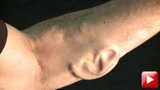 BioArt - Trailer