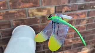 Review of Dragonfly Decorations: CLIPS ON!