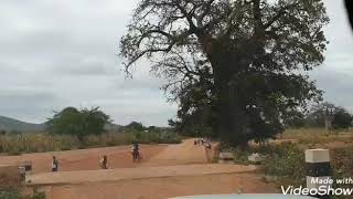 Temiz insanlar#safari #tanzania #doğa