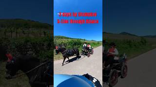 170km Brompton G Line trip through Alsace #Brompton #AlsaceWineRoute #Cycling #Bikepacking #Shorts