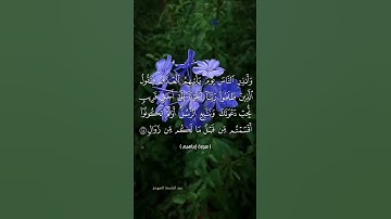#quran #اكسبلور #تلاوة_خاشعة #راحة_نفسية #قرآن #لايك #دويتو #duet #حالات_واتس #تيك_توك