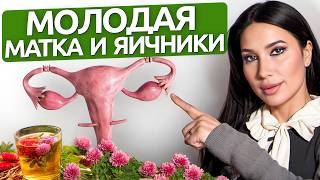 Гормоны как в лучшие годы! Секретный рецепт травниц для эстрогена и прогестерона