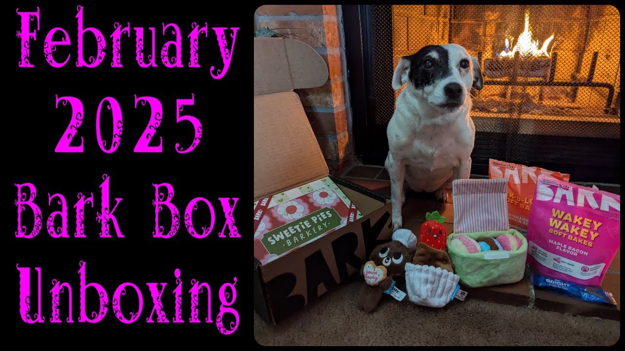 February Barkbox February 2025 Bark Box Unboxing - YouTube