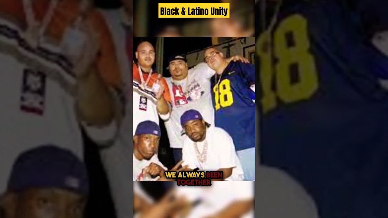 Fat Joe Unity Over Division