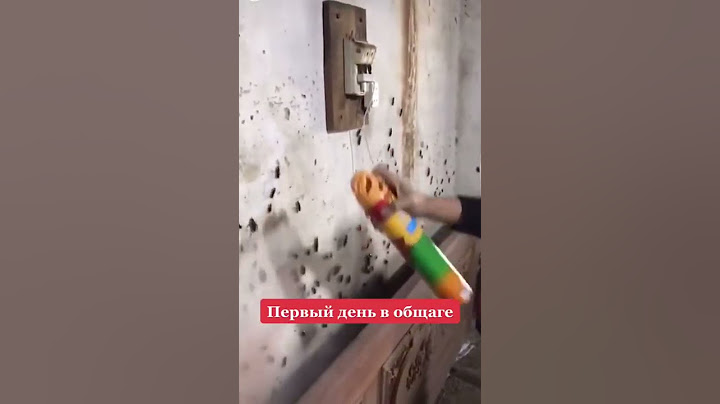 #тараканы #общага #жесть #жуки #истребление #много #прикол #лайфхак #видео #Shorts