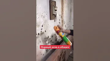 #тараканы #общага #жесть #жуки #истребление #много #прикол #лайфхак #видео #Shorts