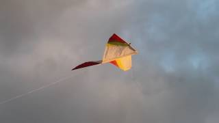Delta Kite - Homemade ripstop kite