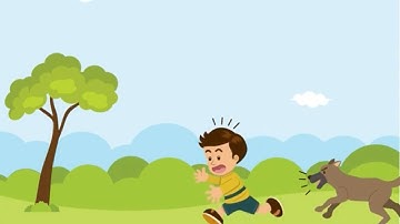 kỹ năng an toàn khi gặp chó dữ || Chị Kim Anh