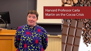 Harvard Professor Carla Martin on the Cocoa Crisis by Harvard Magazine 367 views 1 month ago 3 minutes, 48 seconds