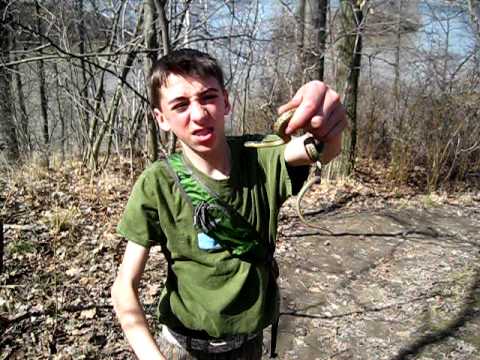 sweetwater 29-30 garter snakes