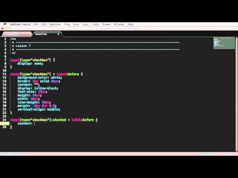 CSS Tutorial for Tips & Tricks - 08 Create Custom Radio Buttons and Checkboxes