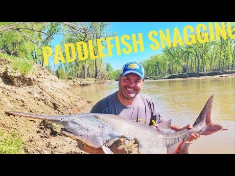 Catching River Monsters! PADDLEFISH on the Yellowstone River