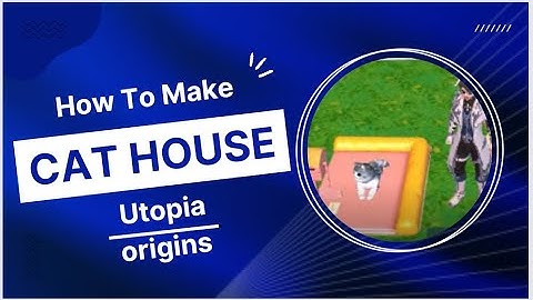 How To Make Cat House.