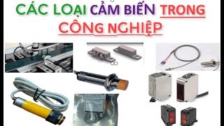 NHẬN BIẾT CÁC LOẠI CẢM BIẾN THƯỜNG DÙNG TRONG CÔNG NGHIỆP- Sensor electric