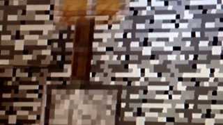 The Smallest Vertical Double Piston Extender (Xbox 360 edition).