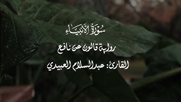 تلاوة تجبر الخاطر 🤍 || ﴿وَقَالُوا اتَّخَذَ الرَّحْمَنُ وَلَدًا سُبْحَانَهُ بَلْ عِبَادٌ مُكْرَمُونَ﴾