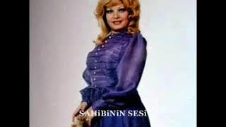 Handan Kara - Bahçende açılan gülün ben olsam ( plak )