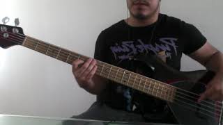 Descendents - Theme [Bass Cover]