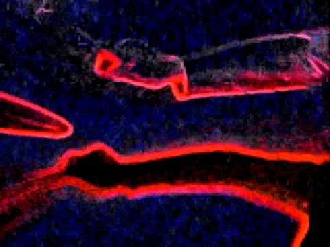 EOTR: Dropped My Guitar camera iphone 8 plus apk