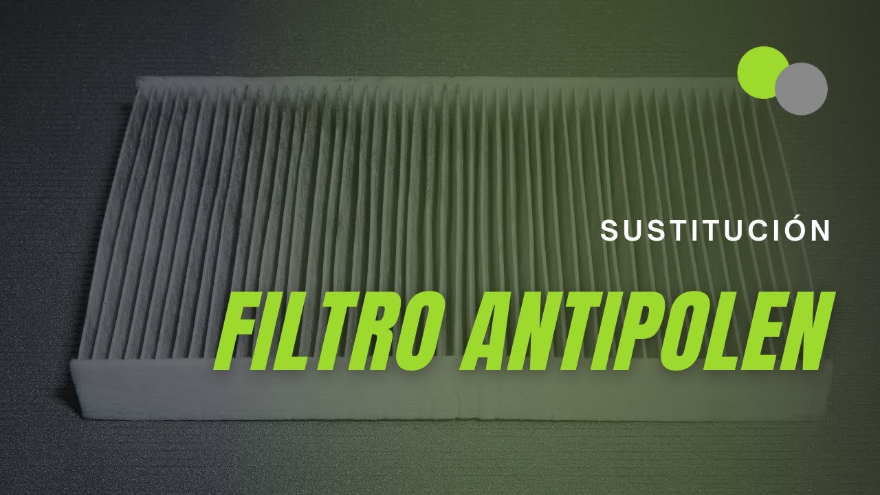 Qué ocurre si tenemos el filtro antipolen sucio? - AutoScout24