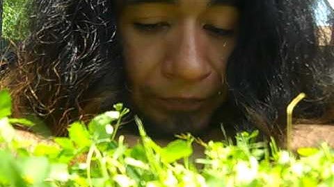 The Macrocosm is the Microcosm And It