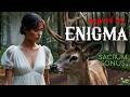 12 Hours - ENIGMA Style Music 2026 ✨ Enigmatic Music - New Age 2026