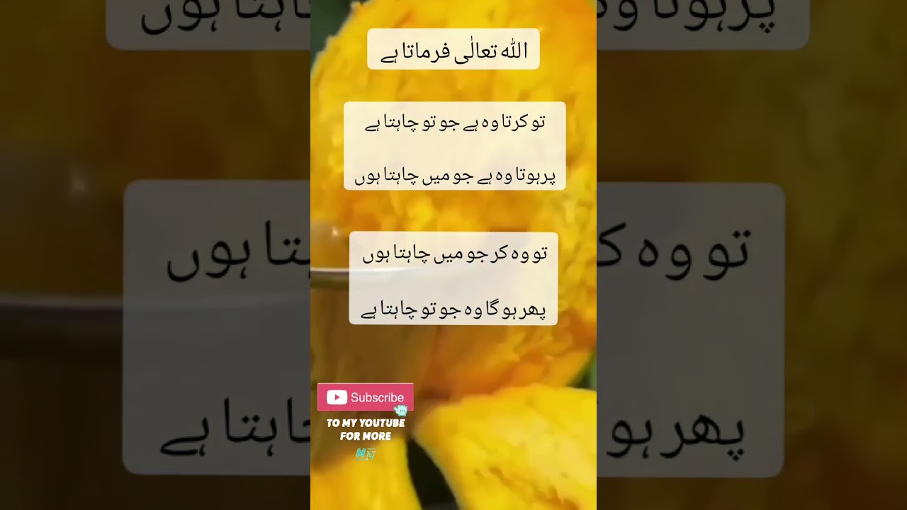 Allah ka farmaan | beautiful words| 