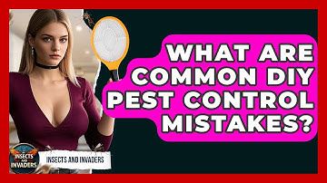 What Are Common DIY Pest Control Mistakes? - Insects and Invaders