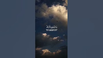 #سورة_هود بصوت القارئ #ماهر_المعيقلي