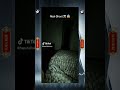 Part 1 - Spectral Snapshots: Paranormal Encounters #ghosts #paranormal #hauntedhouse