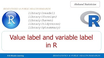 Value label and variable label in R