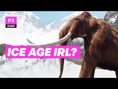 Video: Er en ulden mammut en elefant?