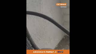 Celebrity Severe storms cause flooding in Fort Mohave, Arizona  #arizona #azfamily Net Worth