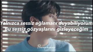 stray kids- silent cry •türkçe çeviri•