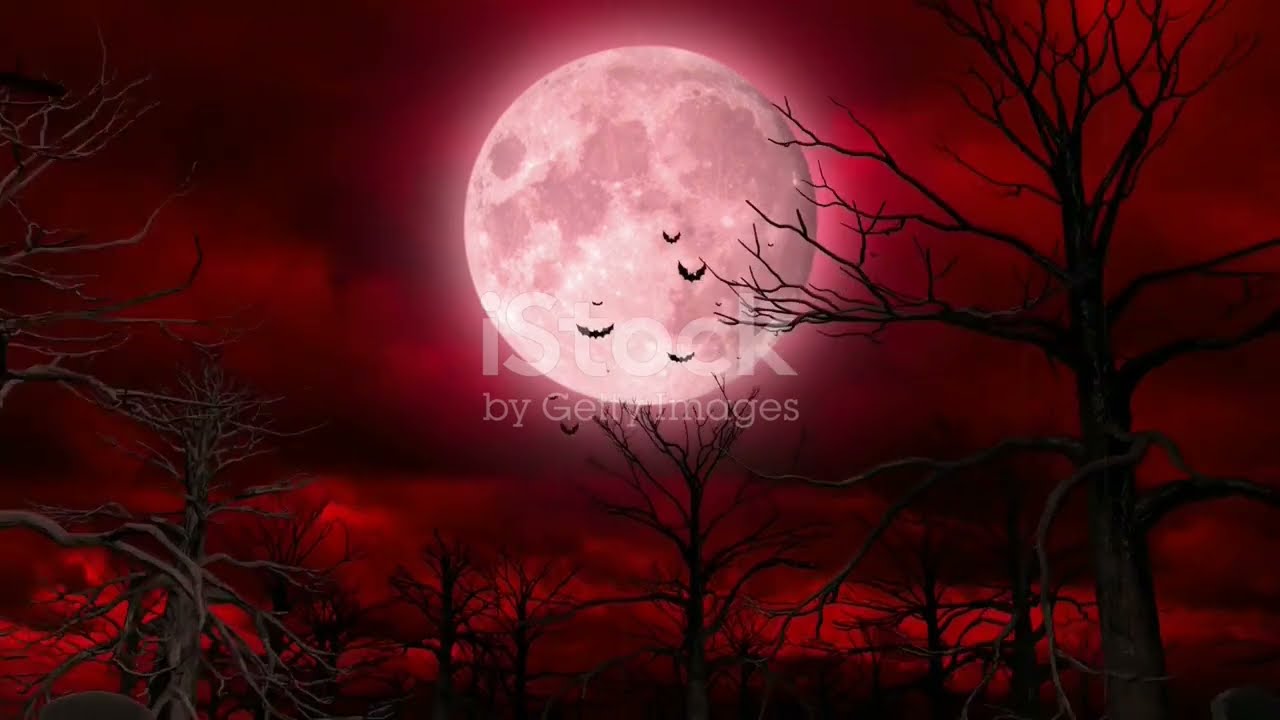 Make sure they do not get YOU ! - Good Night Cryptid Stories Compilation - 0001