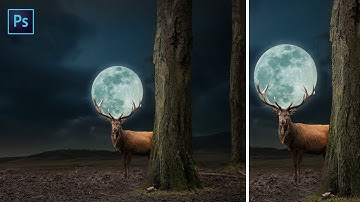 Photo Manipulation Tutorial | Deer of moon