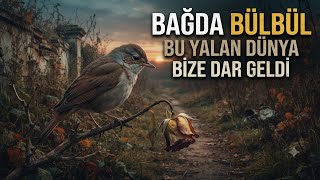 Bağda Bülbül (Orijinal Şiir / Akustik) - Bu Yalan Dünya Bize Dar Geldi #eminismi 