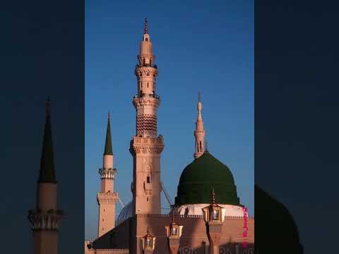 آنستنا ياأنيس الروح والجسد