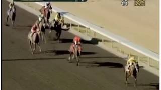 Marymoor Park Emerald Downs 7-20-18