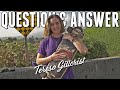 Q&amp;A with Teresa Gillcrist Landyachtz Team Rider