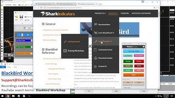 BlackBird Workshop - The Calculate on Bar Close Effect on Trailing Rules