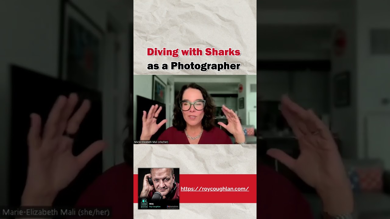 Diving with Sharks as a Photographer