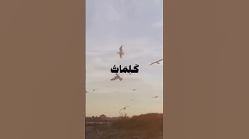 #إسلام_صبحي #اكسبلور #المصحف #تلاوة_خاشعة #تلاوة_مؤثرة