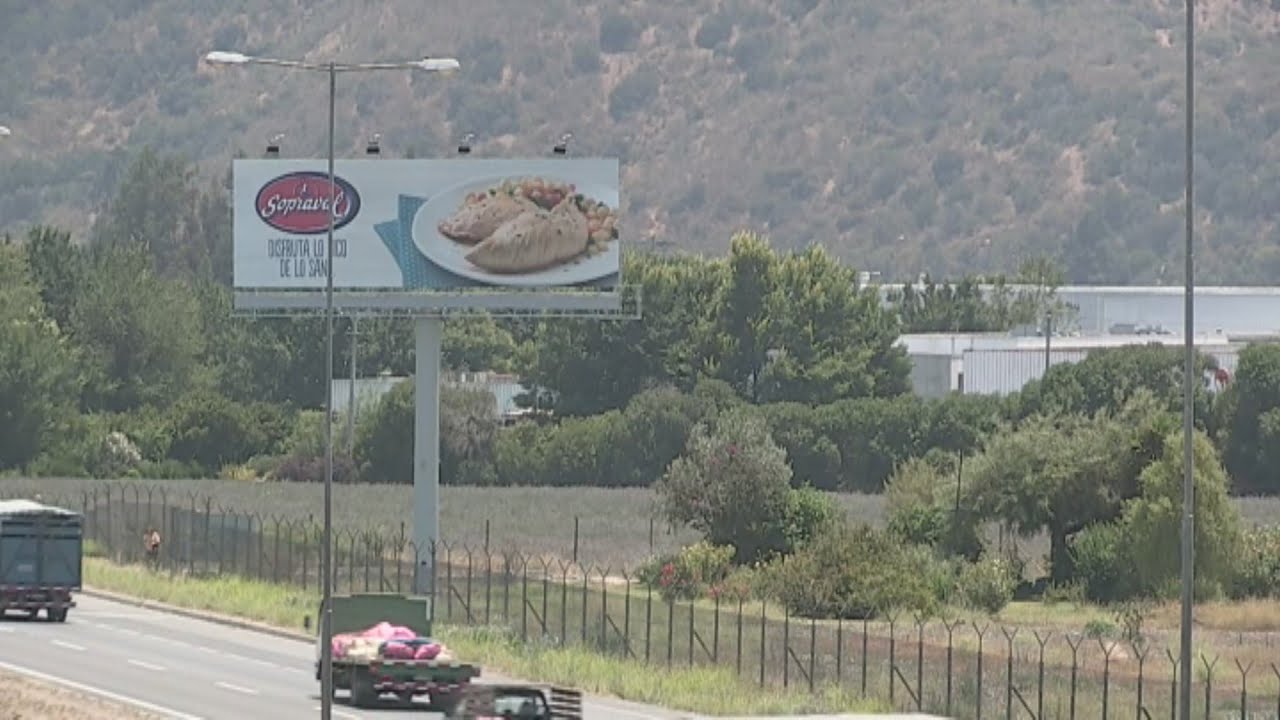 Detectan la presencia de "influenza aviar" en criadero de pavos en Chile