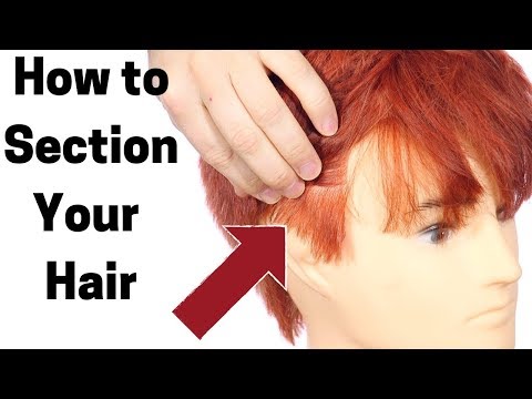 Comment Section vos cheveux - TheSalonGuy